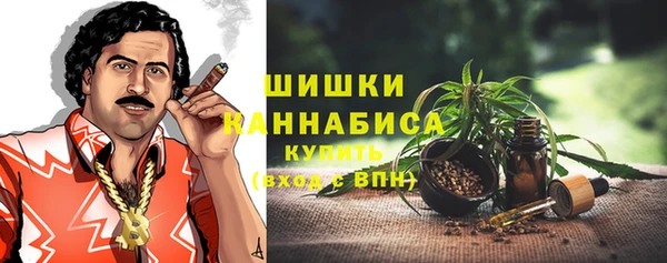 Альфа ПВП Новозыбков