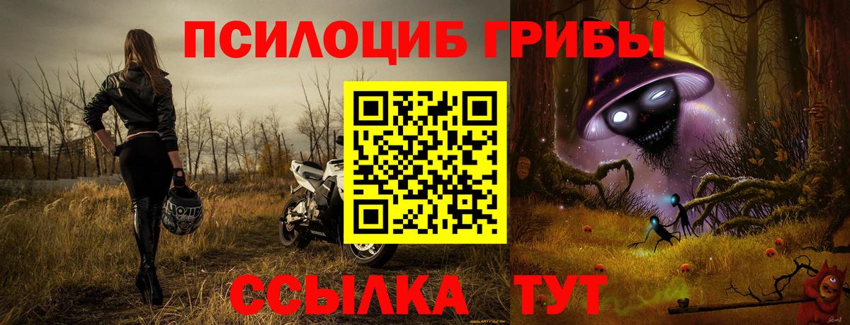 Галлюциногенные грибы Cubensis  Кемерово  Галлюциногенные грибы ЛСД 